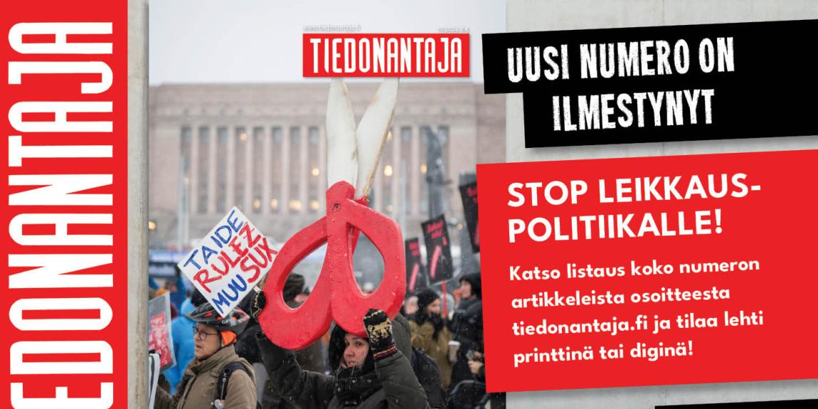 TA somemainos numero 11 2024