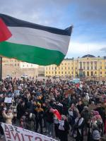 Palestiina tukimielenosoitus Helsinki 20.10.2023 Kuva Emma Grönqvist