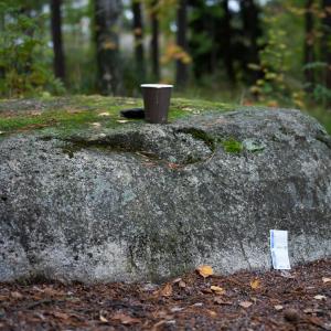 Muovinen kahvimuki kivenpäällä puistossa. Lääkeliuska kiven juurella.
