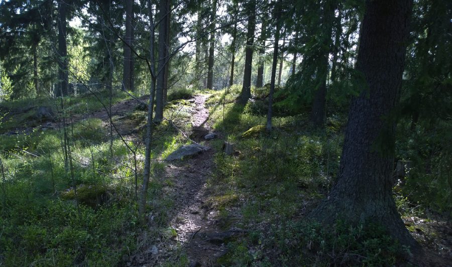 Polku johdattaa kulkijaa