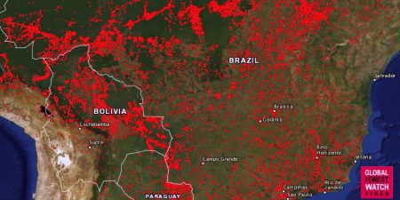 satelliittikuva Amazonasin alueelta