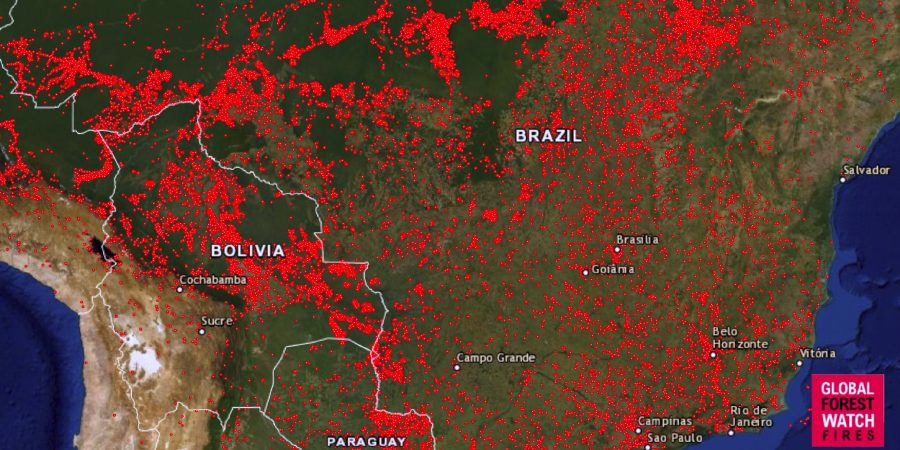 satelliittikuva Amazonasin alueelta