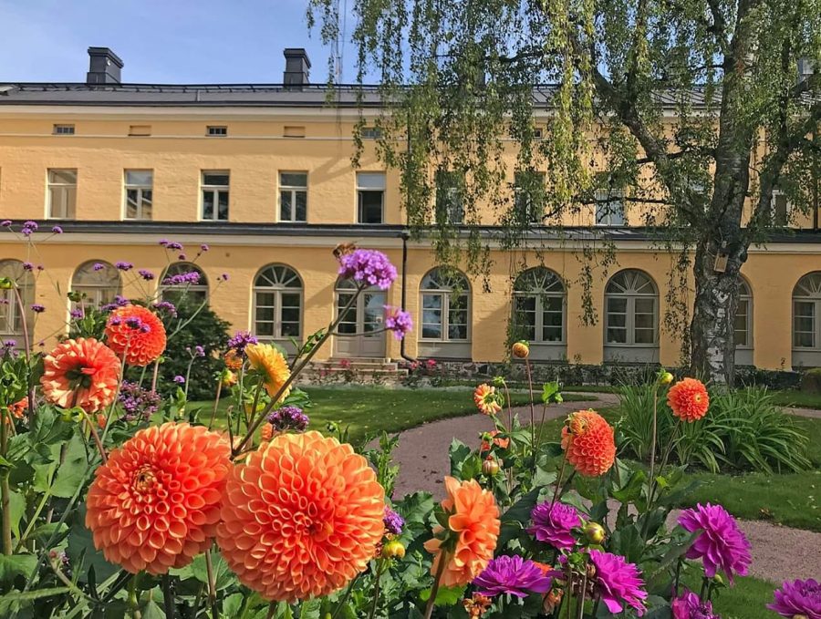 Lapinlahden Lähde / Risto Ruuth