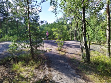 Yksityisen monitoimihallin ja sen parkkipaikan tieltä aiotaan räjäyttää kuvan kallio ja pari hehtaaria vanhaa metsää.
