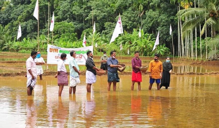 DYFIn kaadereita maata viljelemässä kesäkuussa 2020