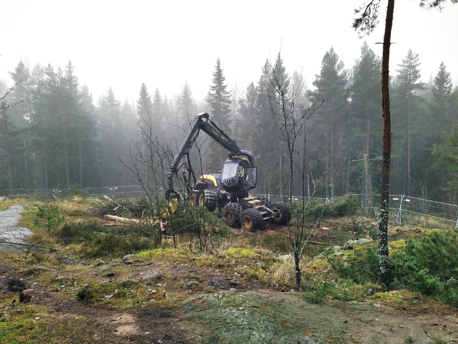 Keskuspuistoryhmä on järkyttynyt Pirkkolan vanhan metsän tuhoamisesta.