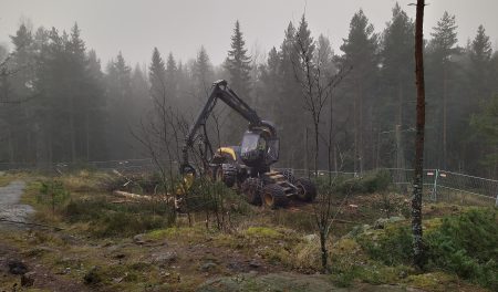 Pirkkolan metsä 10 11 2020