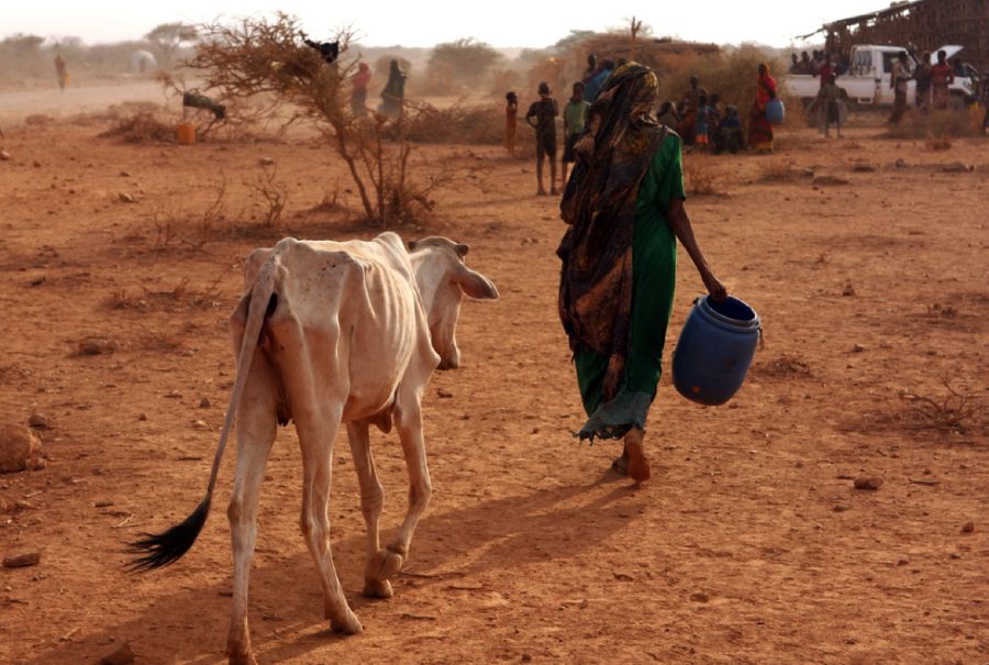 Afrikkalainen maaseutu