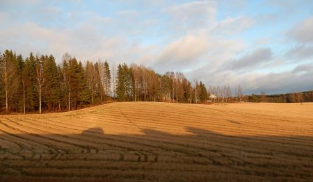 Maaseutumaisema kuva Toivo Koivisto