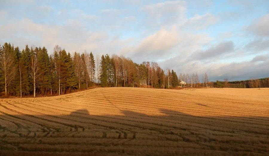 Maaseutumaisema kuva Toivo Koivisto