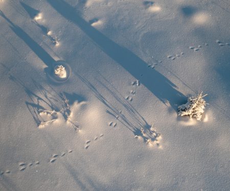 jälkiä lumessa
