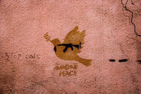22 zaur ibrahimov antPbwiOpb8 unsplash