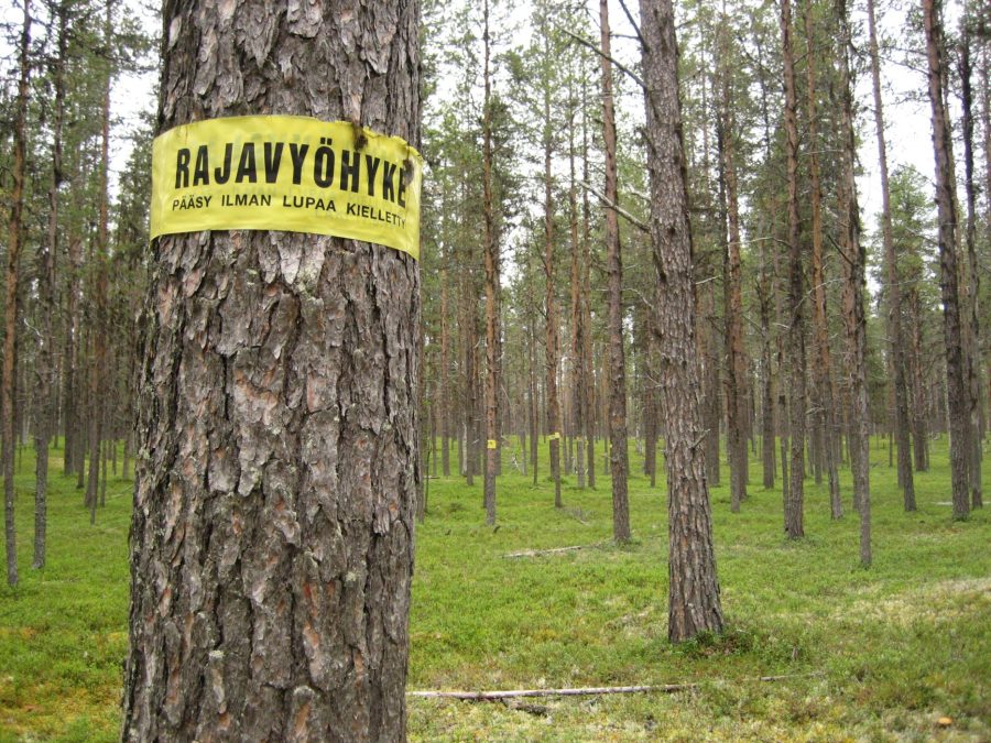 Finnish border zone sign on a tree