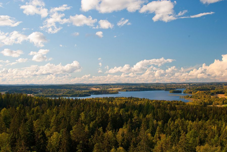 Pentti Linkolan kotiseutunsa Vanajaveden rannalla vahvistuu luonnonsuojelun osalta. Kuva Oleg N, CC BY SA 2.0