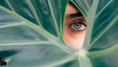 drew dizzy graham nettiin