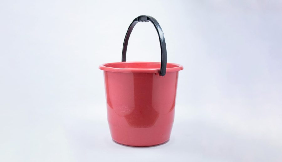 pexels william camilo nettiin