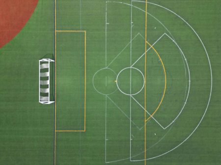 pexels giantasparagus 35501736