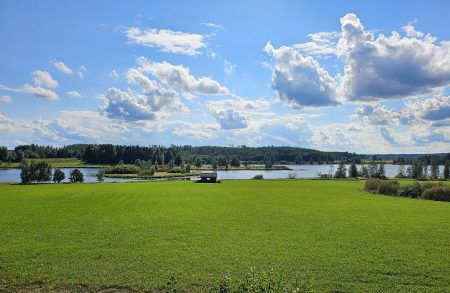 Hyväksikäyttö on juurtunut rakenteisiin ja muuttunut liiketoimintamalliksi, jota ylläpitävät heikko valvonta ja lähes olemattomat seuraamukset. Kuva Janim71 CCO 0.0.