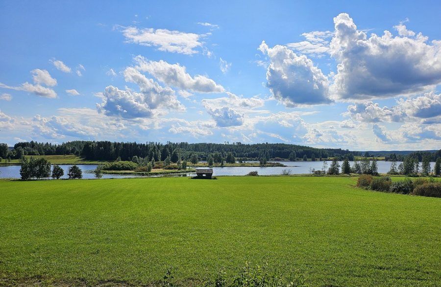 Hyväksikäyttö on juurtunut rakenteisiin ja muuttunut liiketoimintamalliksi, jota ylläpitävät heikko valvonta ja lähes olemattomat seuraamukset. Kuva Janim71 CCO 0.0.