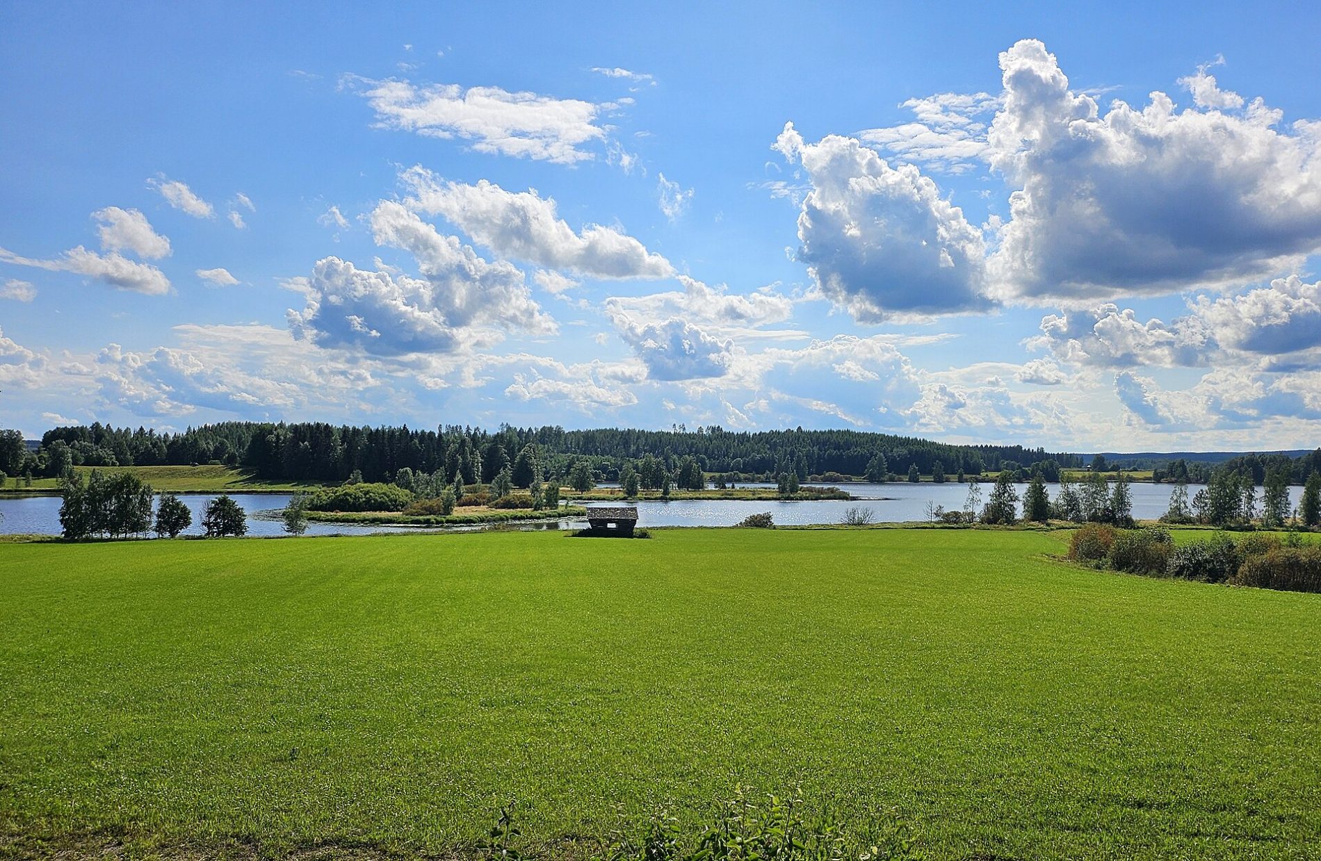 Hyväksikäyttö on juurtunut rakenteisiin ja muuttunut liiketoimintamalliksi, jota ylläpitävät heikko valvonta ja lähes olemattomat seuraamukset. Kuva Janim71 CCO 0.0.