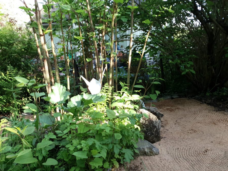 Muovin käyttöä olisi harkittava tarkkaan. Kuva JP (Juha Pekka) Väisänen