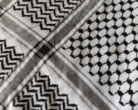Global sumud flotillan aktivistien piina jatkuu Baskimaalla ja Israelin käsissä. KuvaToni Kallioinen