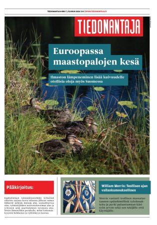 kansi nettiin