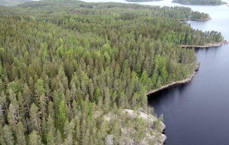 Puumala Pajukaarre ENNEN